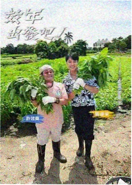 国际电影节华语力量